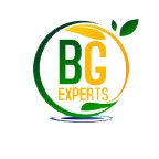 BG Experts